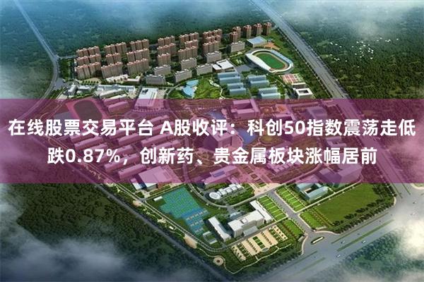 在线股票交易平台 A股收评：科创50指数震荡走低跌0.87%，创新药、贵金属板块涨幅居前