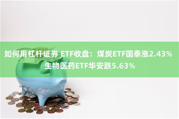 如何用杠杆证券 ETF收盘：煤炭ETF国泰涨2.43% 生物医药ETF华安跌5.63%