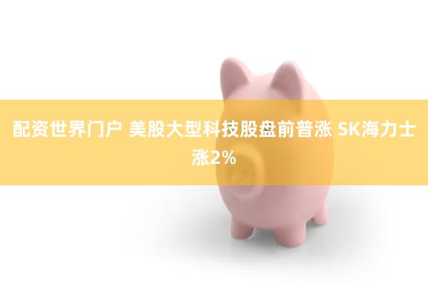 配资世界门户 美股大型科技股盘前普涨 SK海力士涨2%