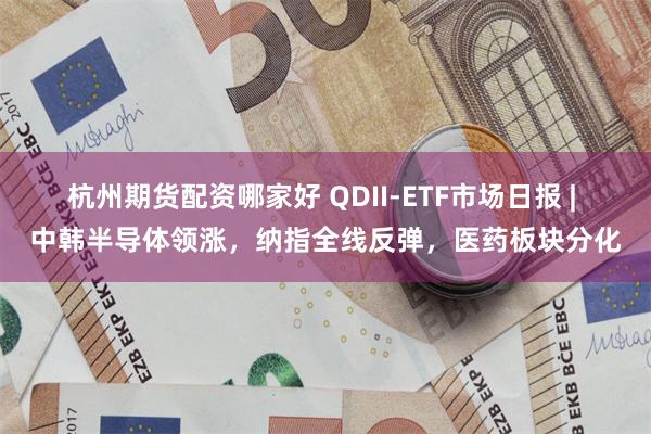 杭州期货配资哪家好 QDII-ETF市场日报 | 中韩半导体领涨，纳指全线反弹，医药板块分化