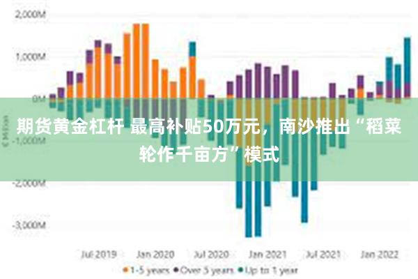 期货黄金杠杆 最高补贴50万元，南沙推出“稻菜轮作千亩方”模式