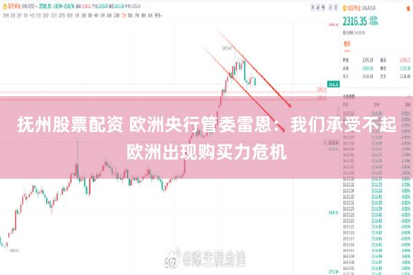 抚州股票配资 欧洲央行管委雷恩：我们承受不起欧洲出现购买力危机