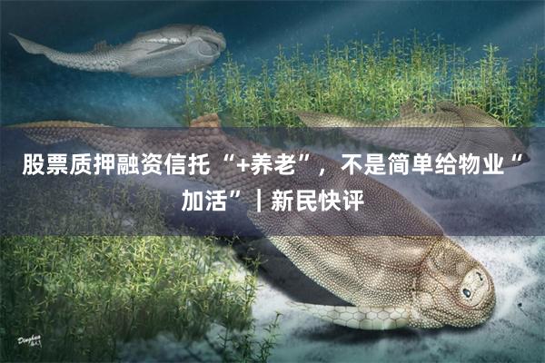股票质押融资信托 “+养老”，不是简单给物业“加活”｜新民快评