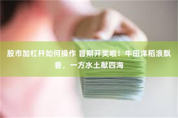 股市加杠杆如何操作 首期开奖啦！牛田洋稻浪飘香，一方水土献四海