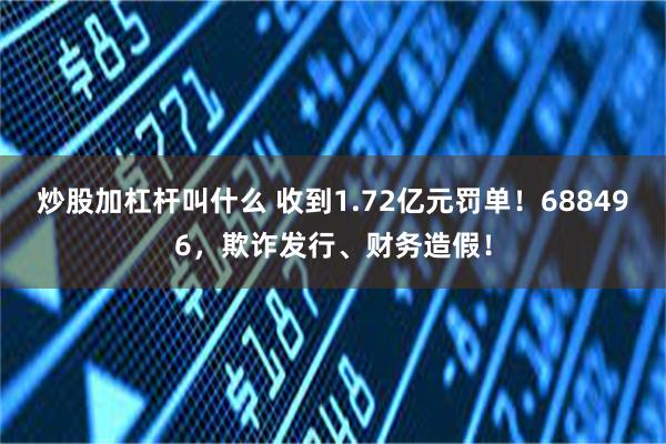 炒股加杠杆叫什么 收到1.72亿元罚单！688496，欺诈发行、财务造假！